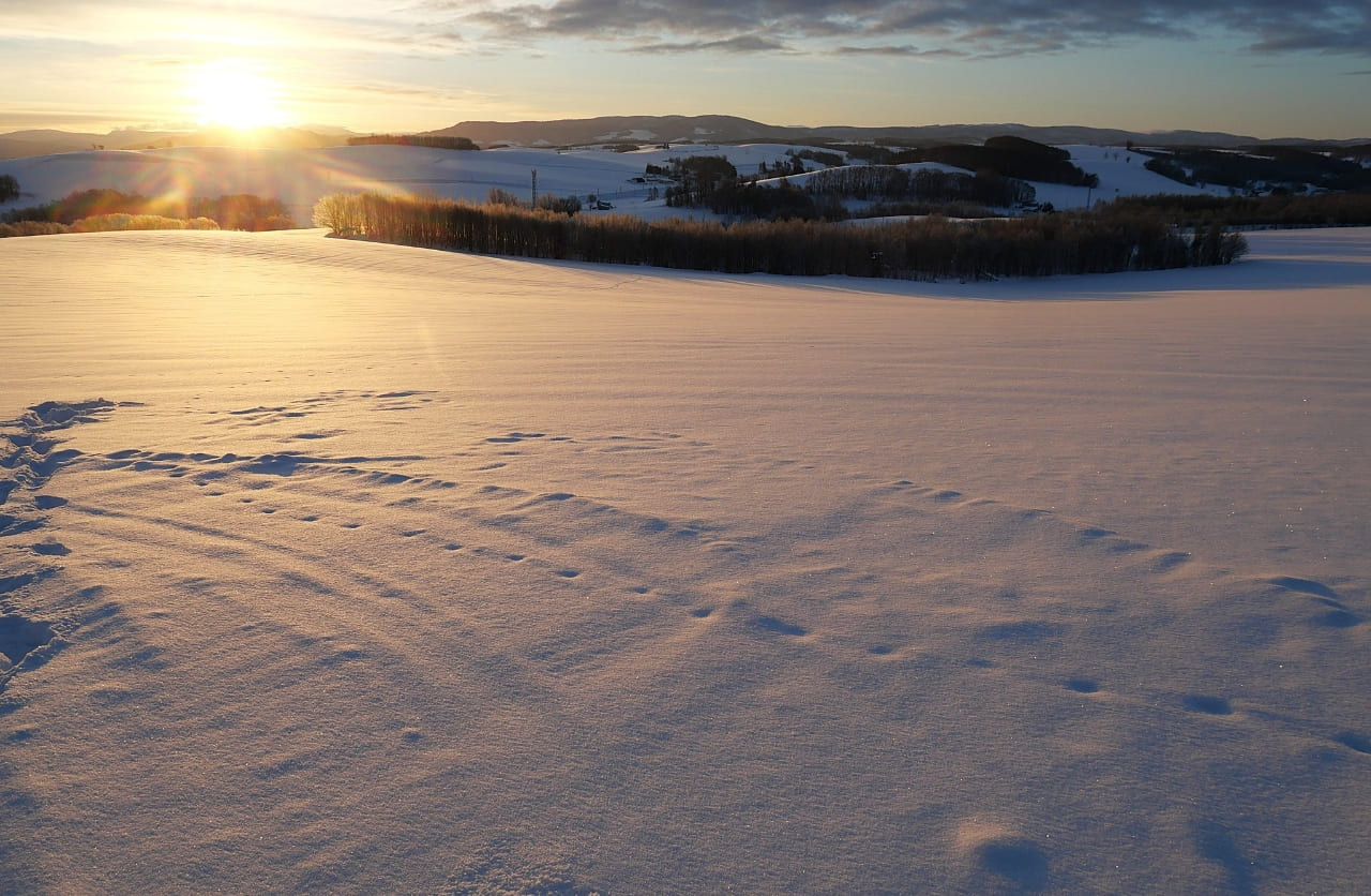 サンライズツアー 写真