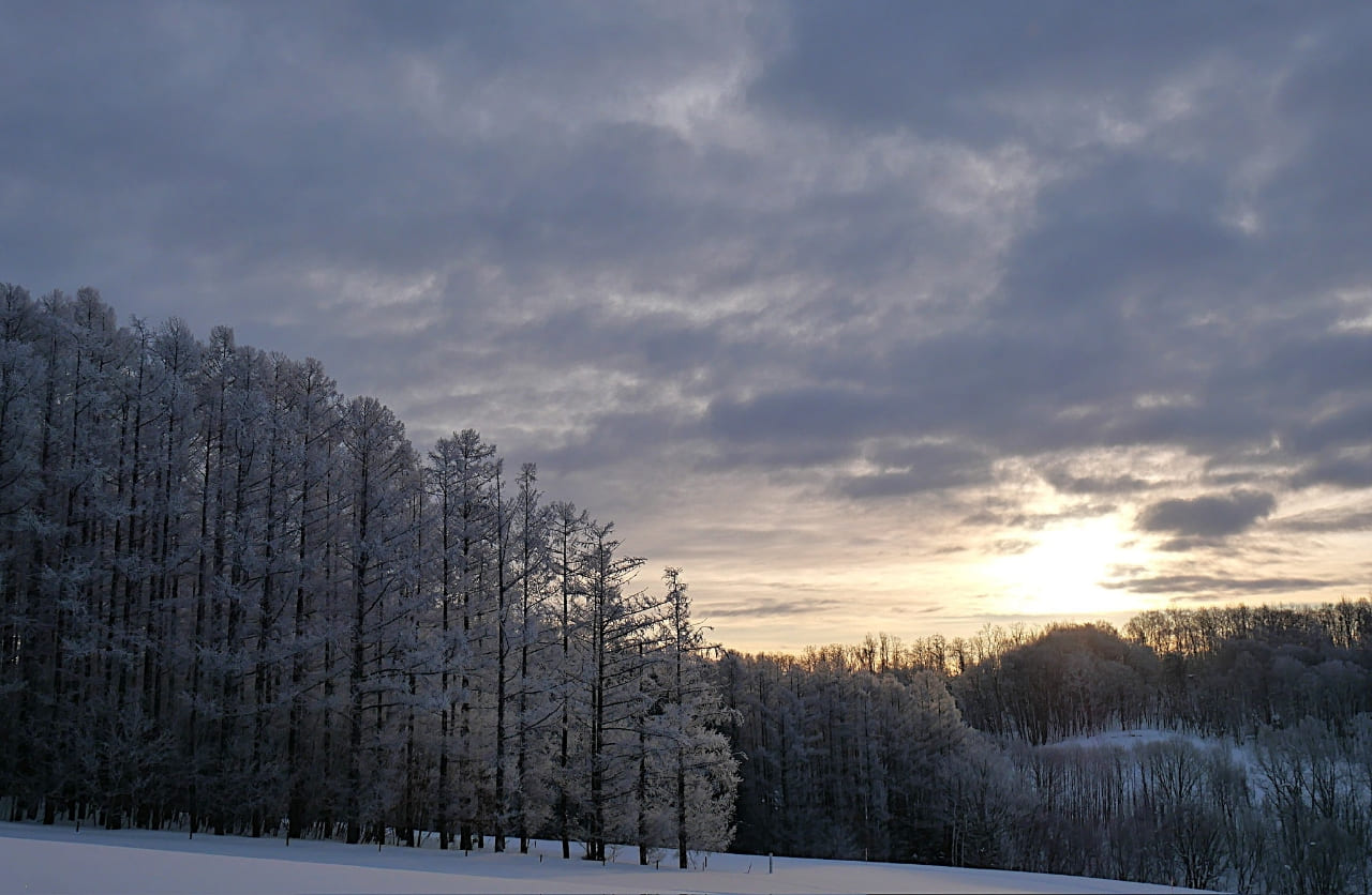 サンライズツアー 写真